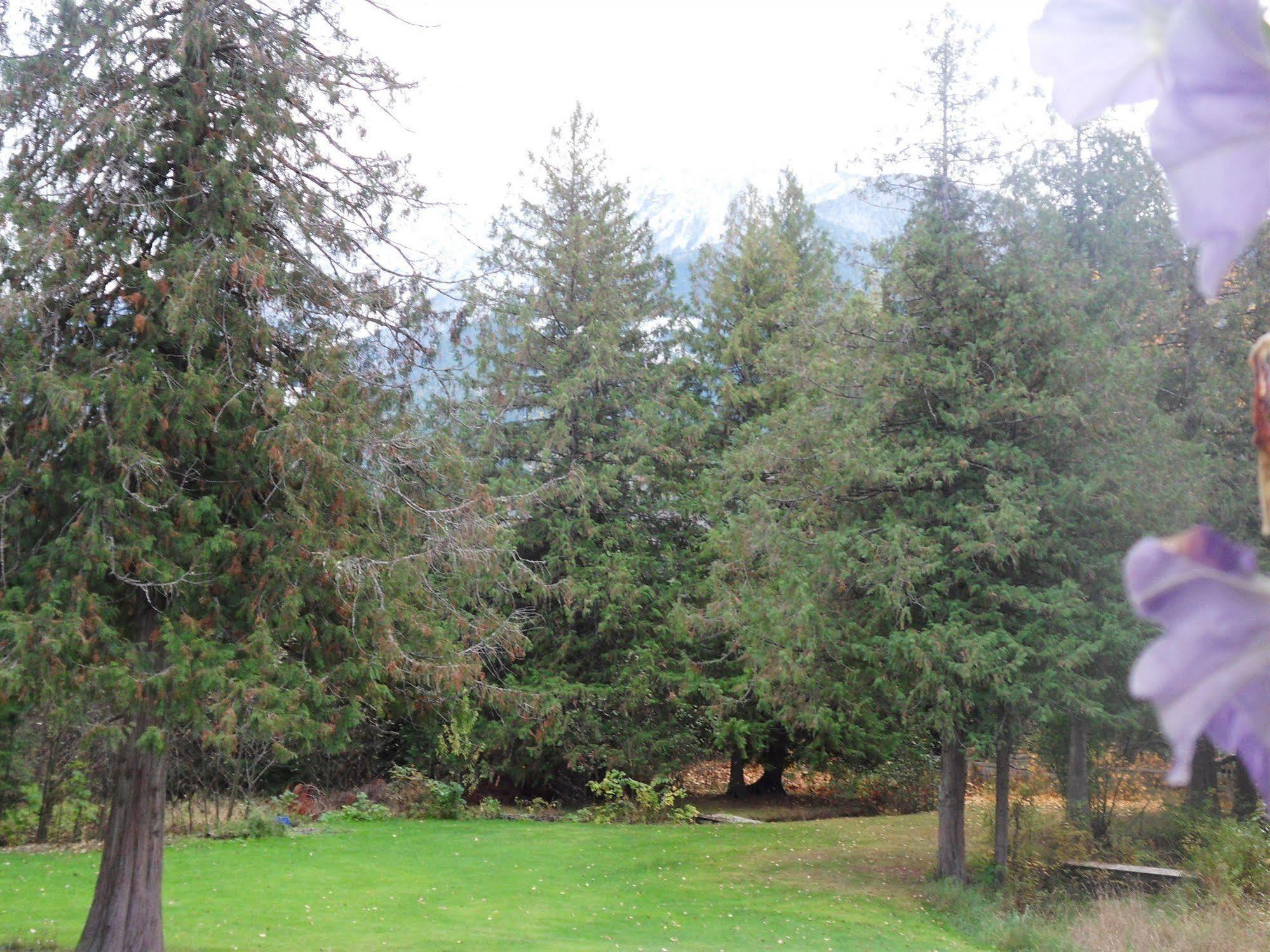 The Hitching Post Motel Pemberton Eksteriør billede